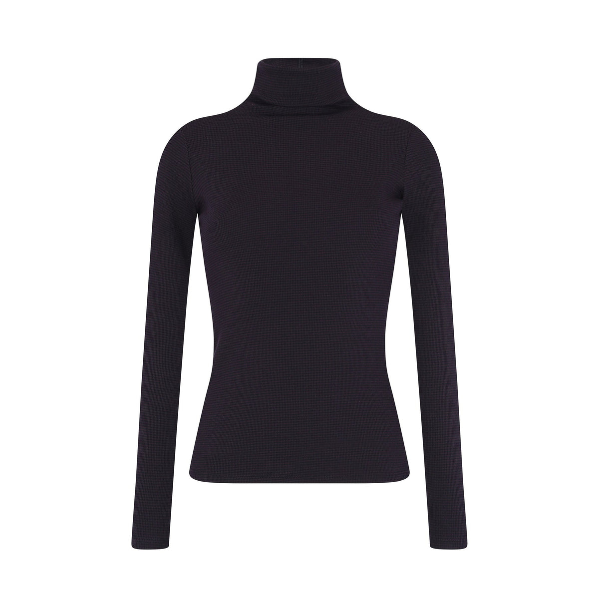 Parni Stripped Fittted Turtleneck