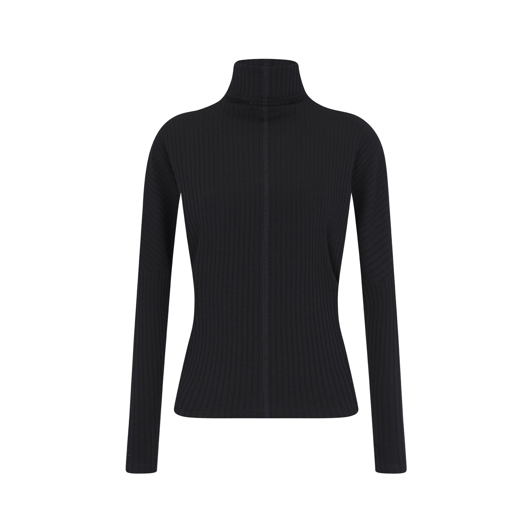 Parni Dolman Turtleneck - Main Image