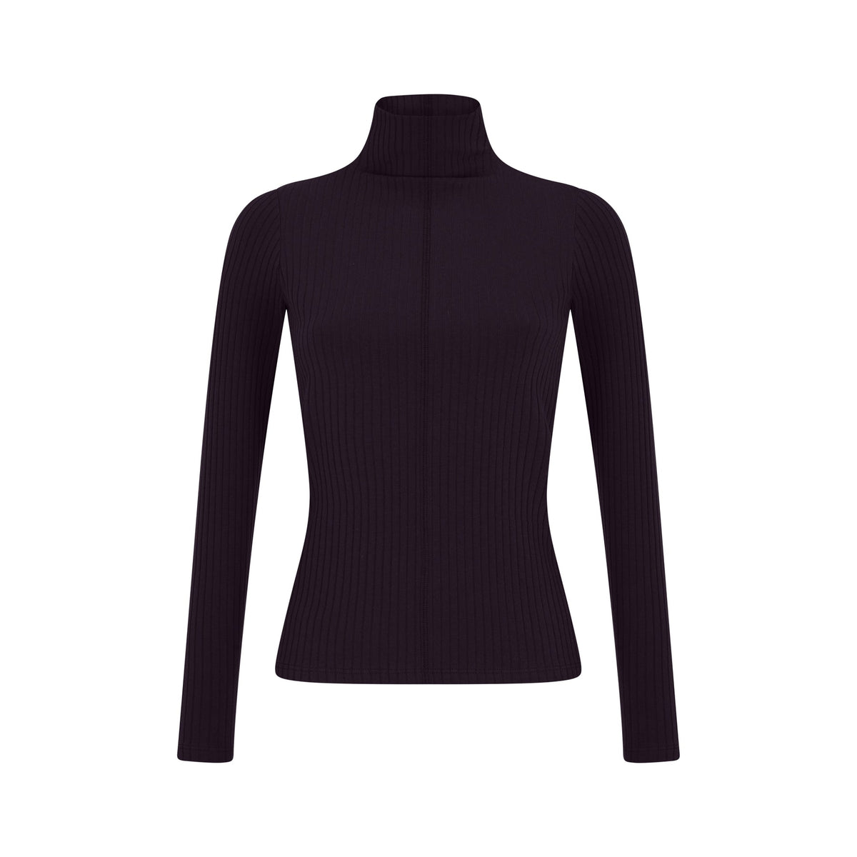 Parni Classic Fitted Turtleneck